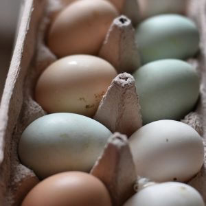 Half Dozen Farm-Fresh Heritage-Breed Pasture-Raised Eggs