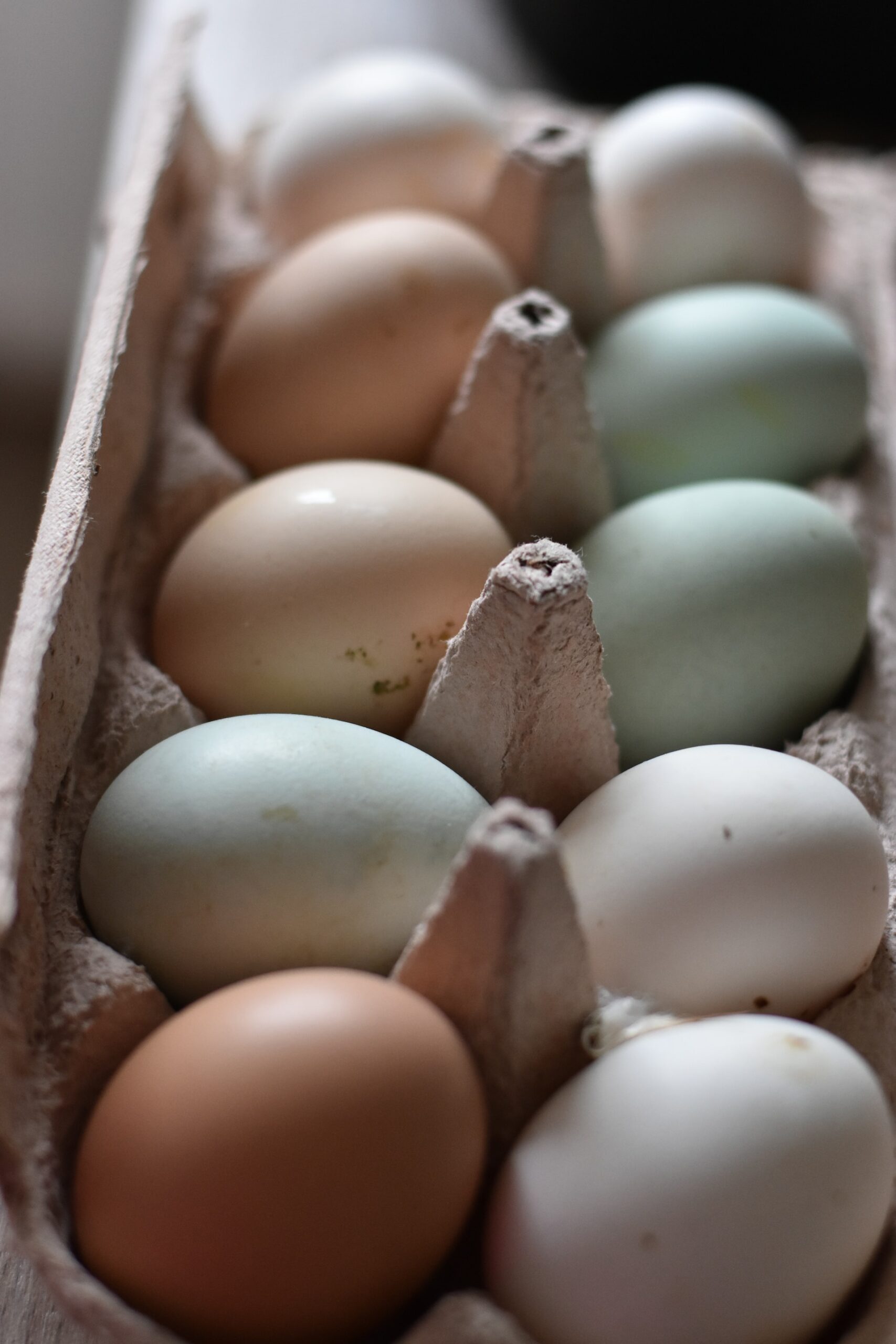 Half Dozen Farm-Fresh Heritage-Breed Pasture-Raised Eggs